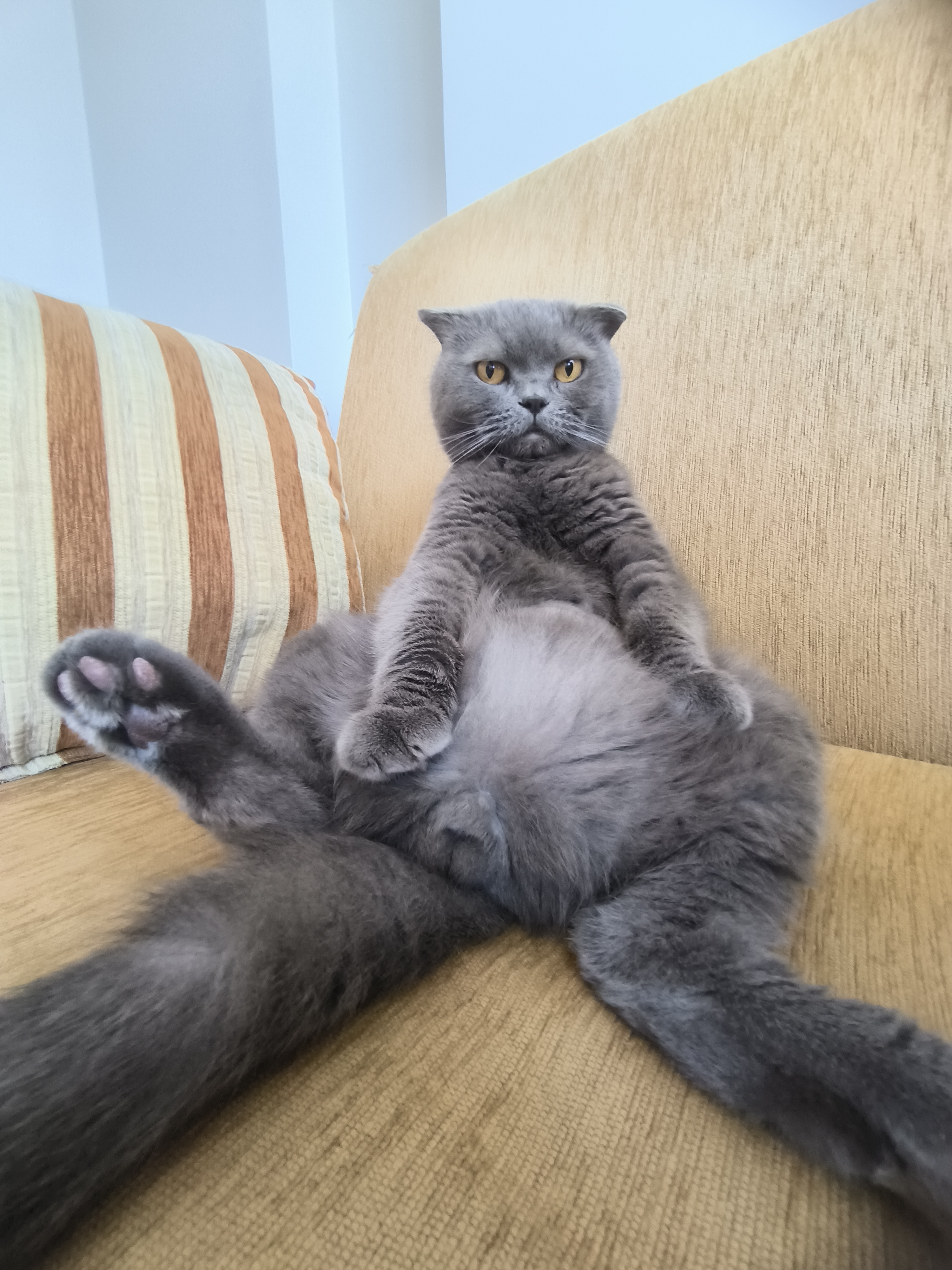 bu çekilişler kime çıkıyo aq